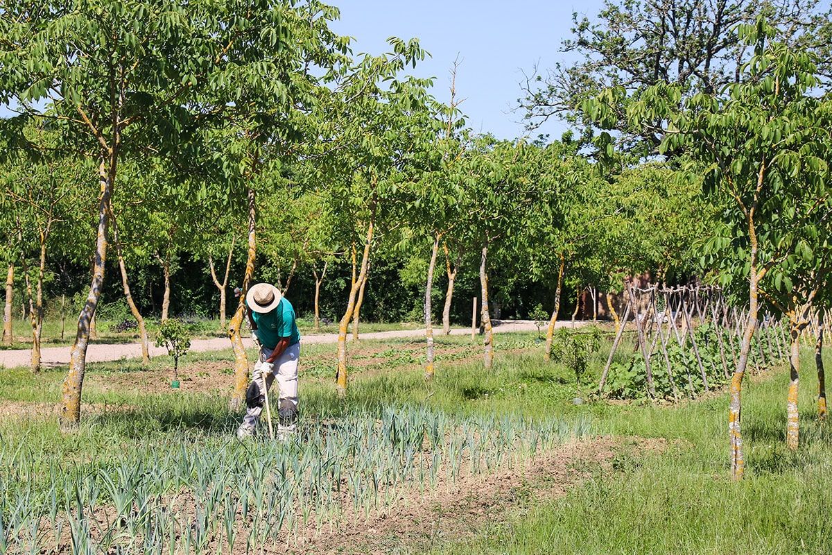 Borgo Santo Pietro farm