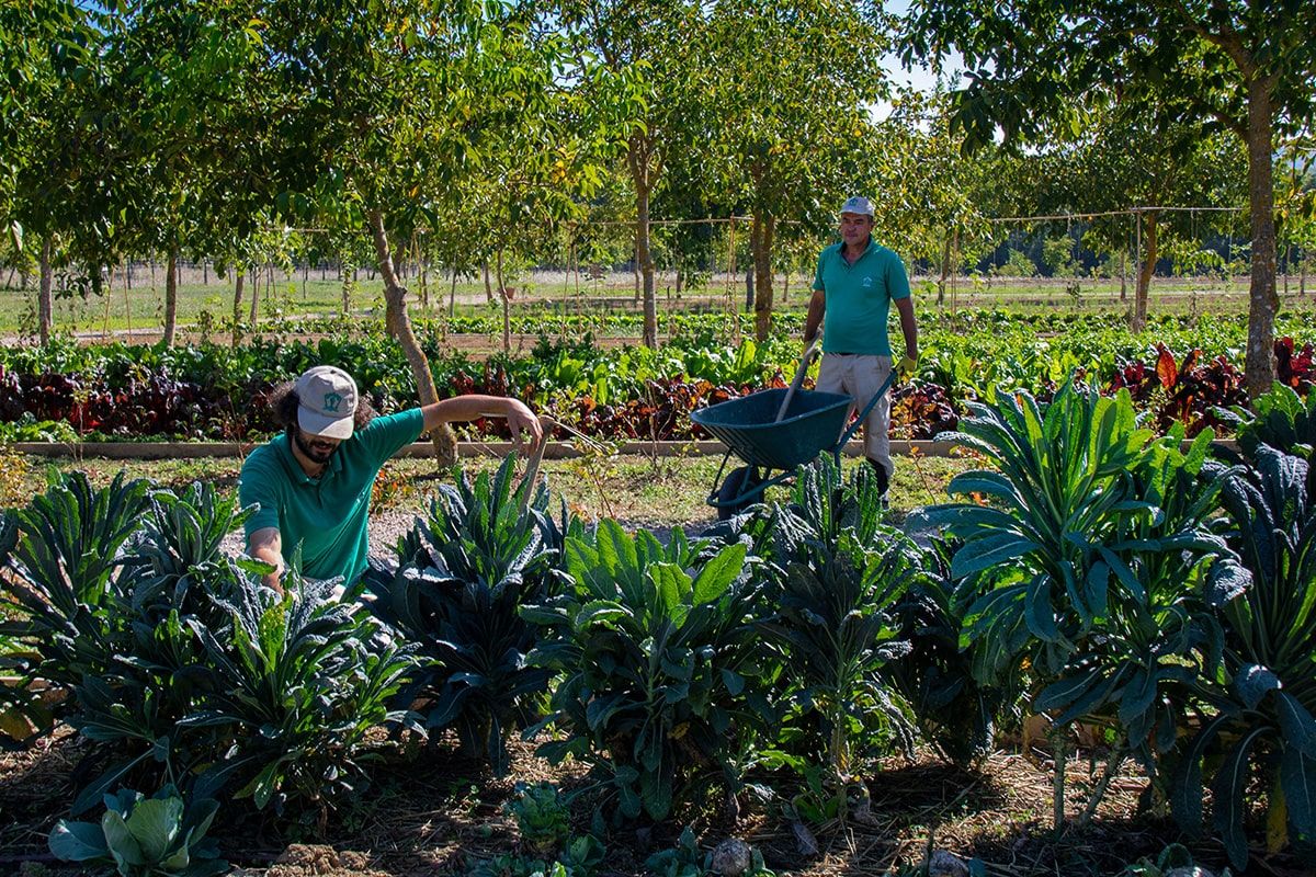 Borgo Santo Pietro farm