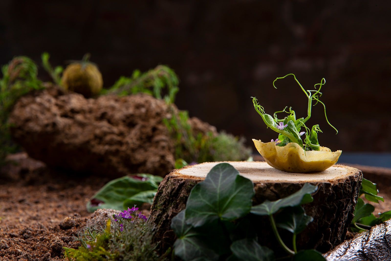 amuse bouche bottega del buon caffe